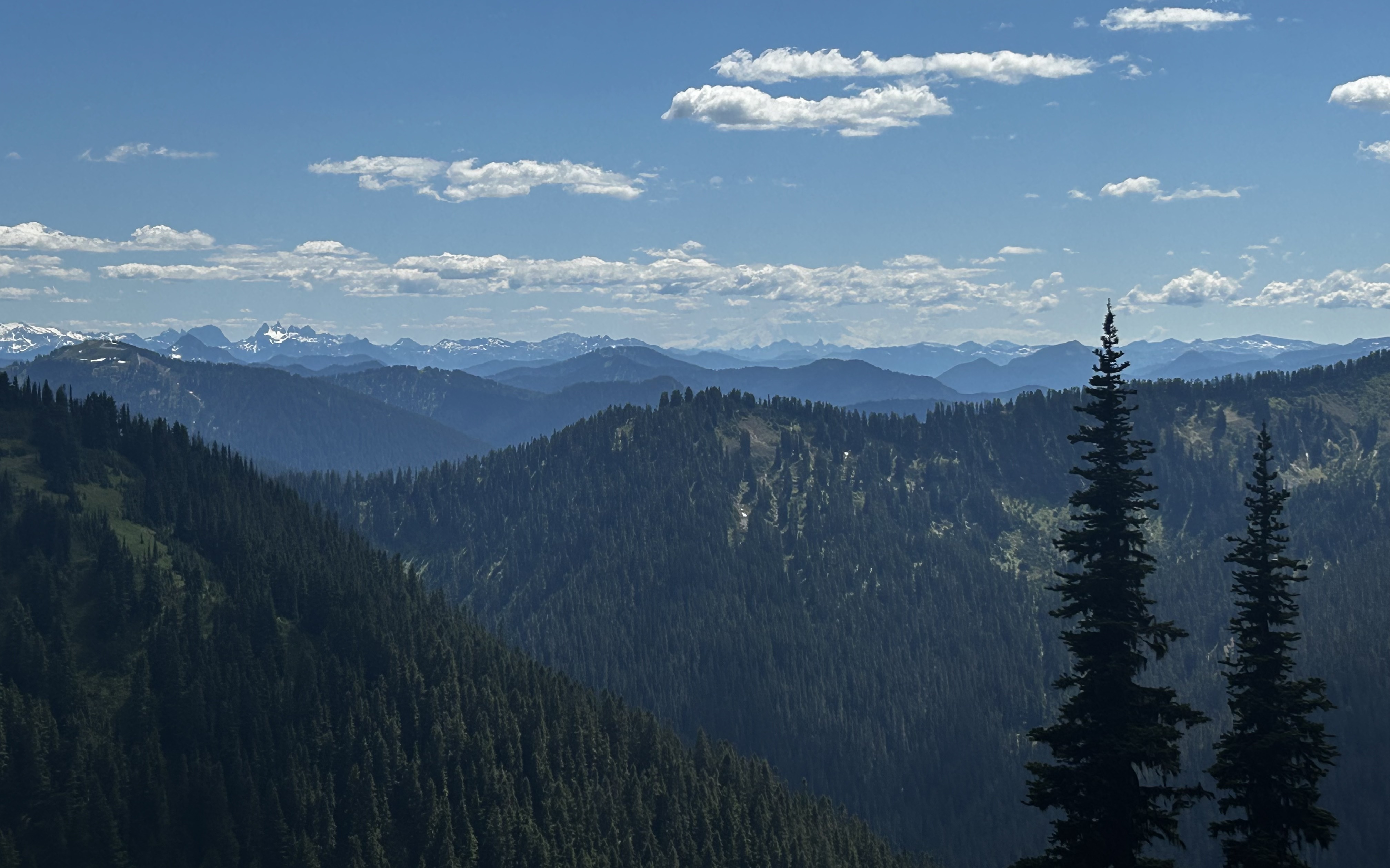Taken from the White Ridge Loop Trail in Mt. Baker-Snoqualmie National Forest, Washington